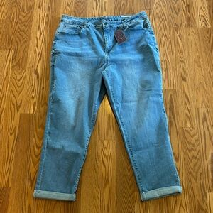 NWT Silver Crush Slim Girlfriend Rolled Cropped Ankle Jeans Size 22W